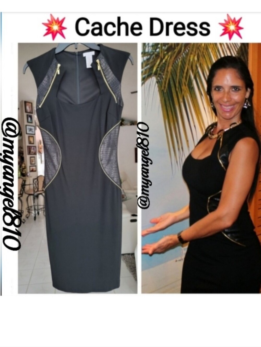 Cache Elegant Black Women's Dress with Golden Hardware, Size 0